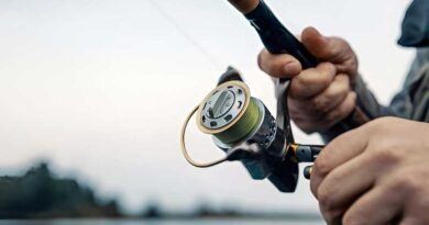 Best Budget Ultralight Spinning Reels