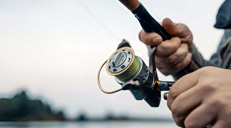 Best Budget Ultralight Spinning Reels