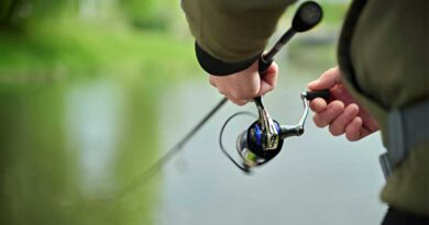 Best Budget Ultralight Spinning Rods