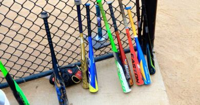 Best Budget BBCOR Bats