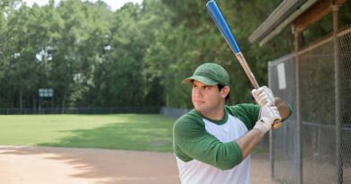 Best Budget Baseball Bats