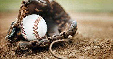 Best Budget Baseball Gloves