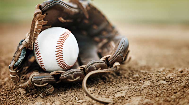 Best Budget Baseball Gloves