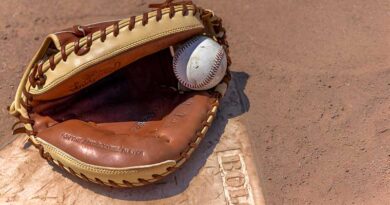 Best Budget Catcher's Mitts