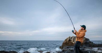 Best Ultralight Rod and Reel Combos