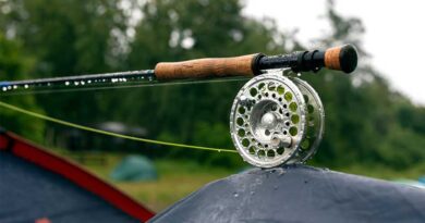 Best Budget Fly Rods