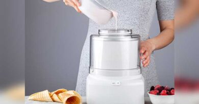 Best Budget Ice Cream Makers