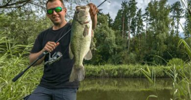 Best Bass Fishing Rod And Reel Combos