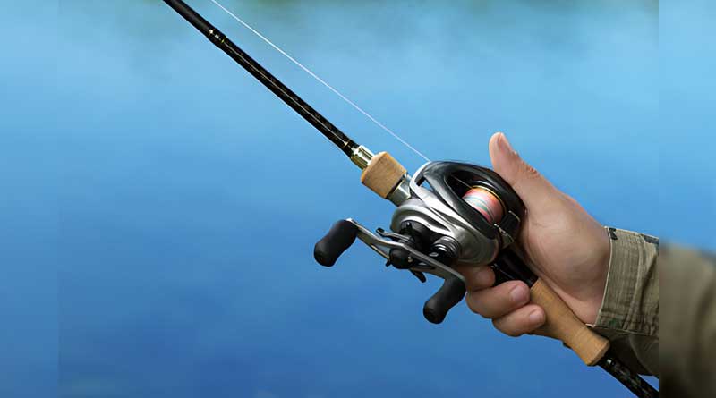 Best Budget Baitcaster Combos