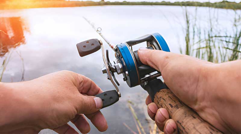 Best Budget Baitcaster Reels