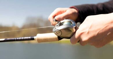 Best Budget Baitcaster Rods