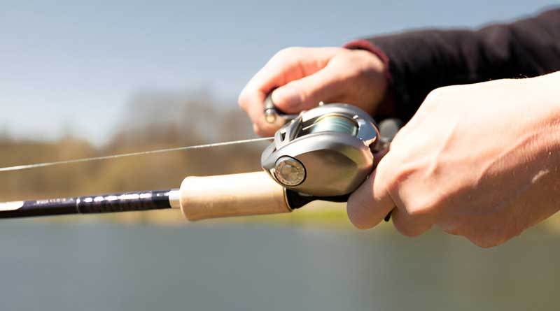 Best Budget Baitcaster Rods