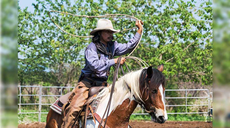 Best Budget Cowboy Hats