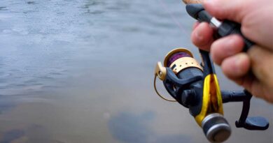 Best Budget Fishing Reels