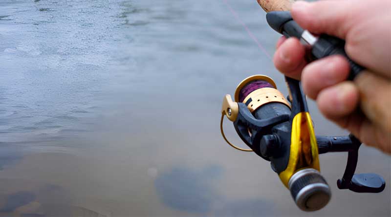 Best Budget Fishing Reels