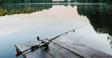 Best Budget Fishing Rods