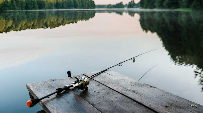 Best Budget Fishing Rods