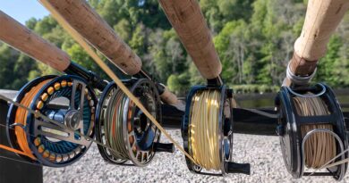 Best Budget Fly Reels