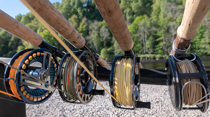 Best Budget Fly Reels