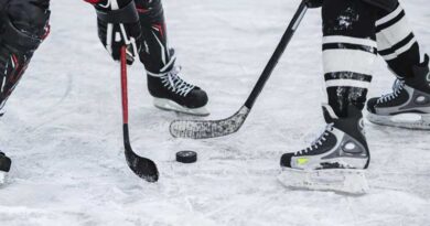 Best Budget Ice Hockey Skates
