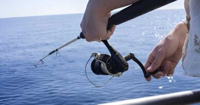 Best Budget Saltwater Combos