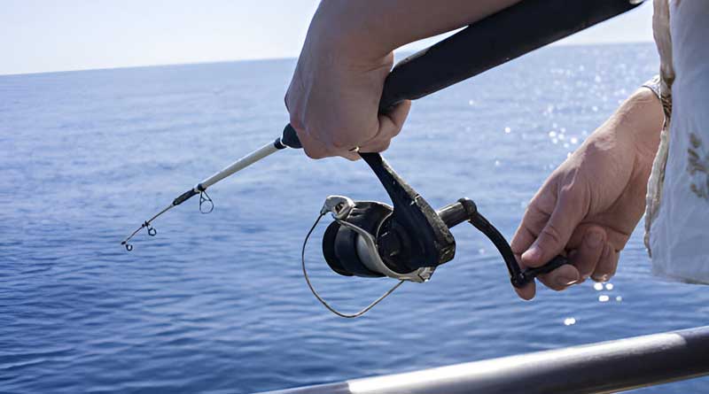 Best Budget Saltwater Combos