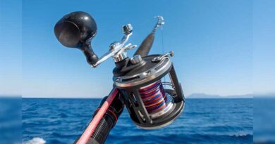 Best Budget Saltwater Reels