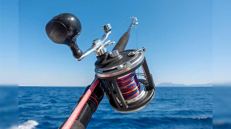 Best Budget Saltwater Reels