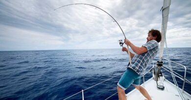 Best Budget Saltwater Rods