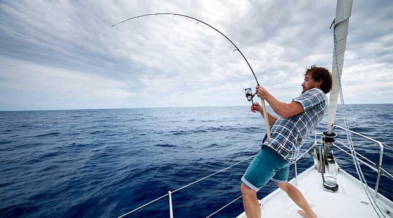 Best Budget Saltwater Rods