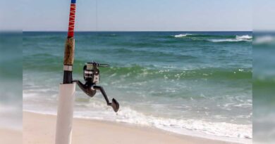 Best Budget Surf Fishing Combos