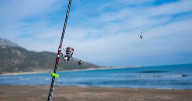 Best Budget Surf Fishing Reels