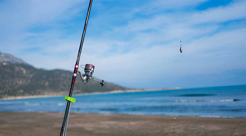 Best Budget Surf Fishing Reels