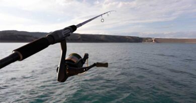 Best Budget Surf Fishing Rods