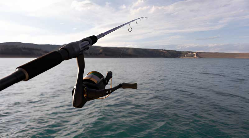 Best Budget Surf Fishing Rods