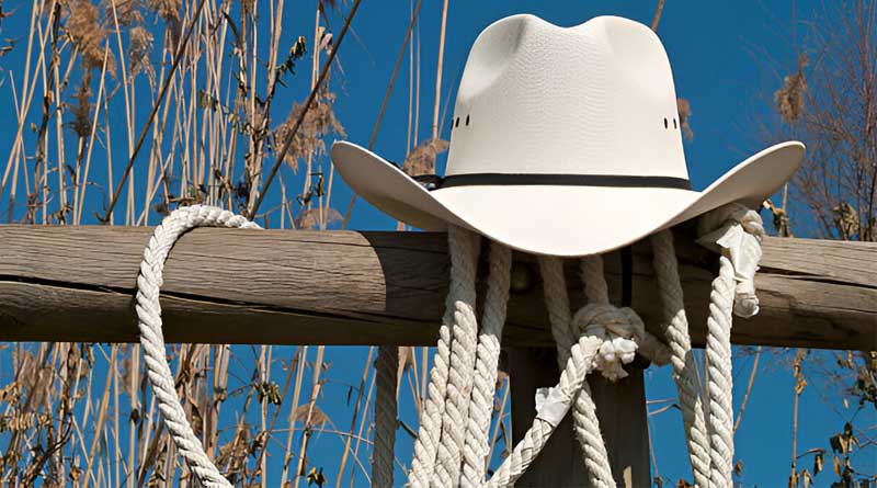 Best Cowboy Hats for Round Faces