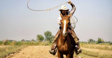 Best Cowboy Hats for Summer