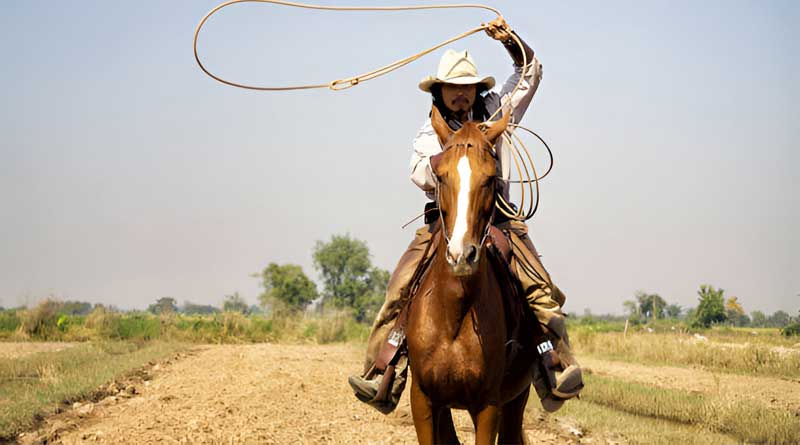 Best Cowboy Hats for Summer