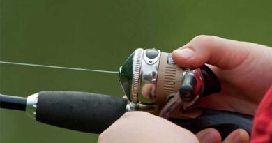 Best Fishing Lines For Spincast Reels