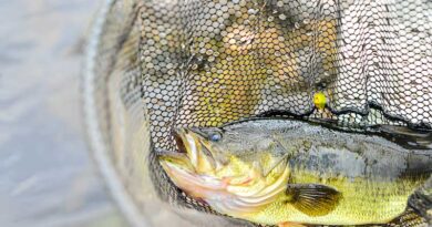 Best Fishing Nets For Bass