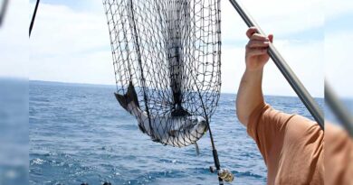 Best Fishing Nets For Salmon