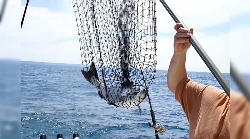 Best Fishing Nets For Salmon