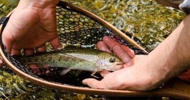 Best Fishing Nets For Trout