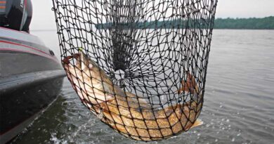 Best Fishing Nets For Walleye