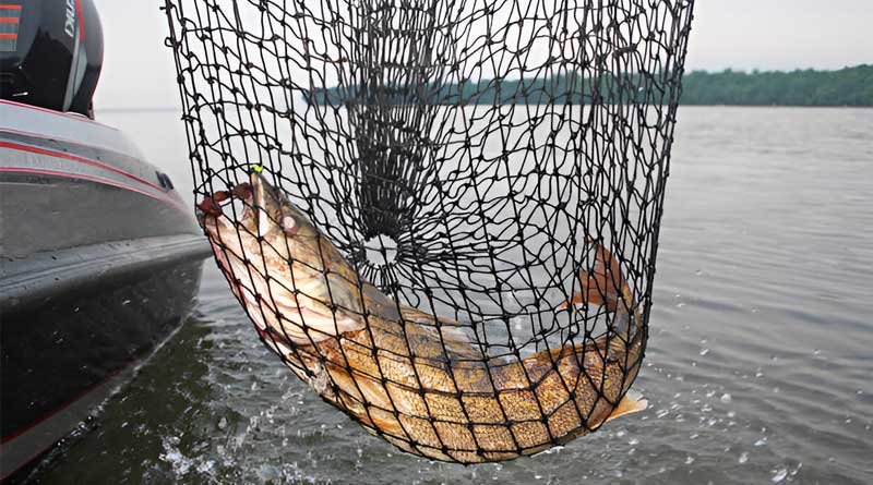 Best Fishing Nets For Walleye