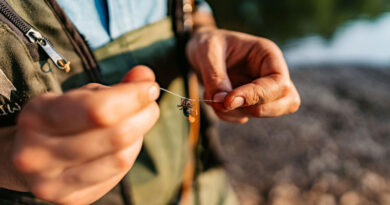Best Fly Fishing Baits