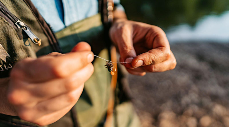Best Fly Fishing Baits