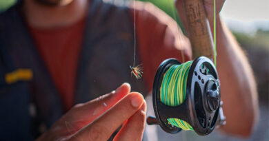 Best Fly Fishing Combos For Beginners