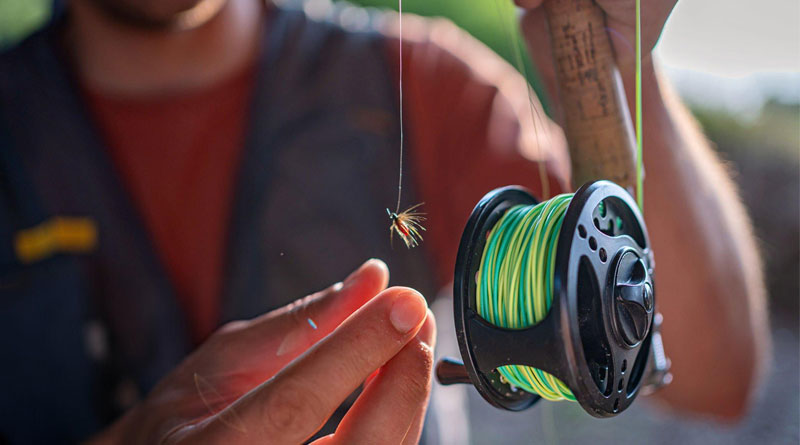 Best Fly Fishing Combos For Beginners