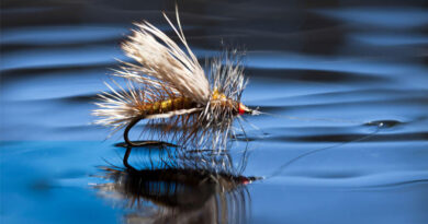 Best Fly Fishing Flies